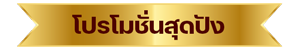 โปรโมชั่นสุดปัง